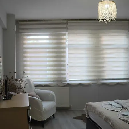 Apartment Erkul Old 3 *